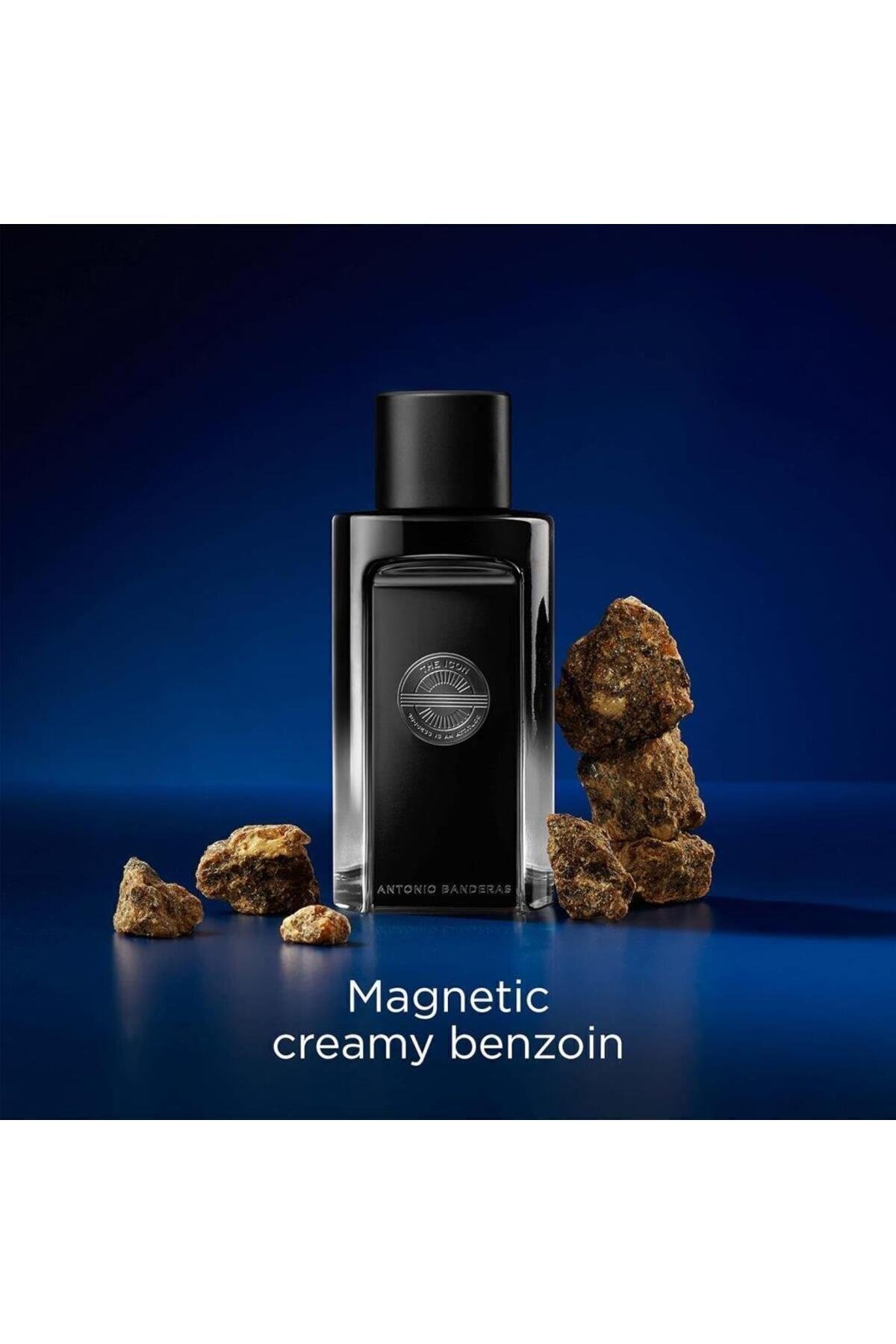 The Icon The Perfume EDP 100 ml 2024 Erkek Parfüm