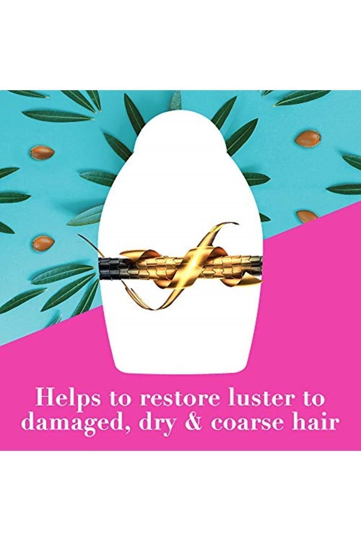 Yenileyici Argan Oil Of Morocco, 100 ml