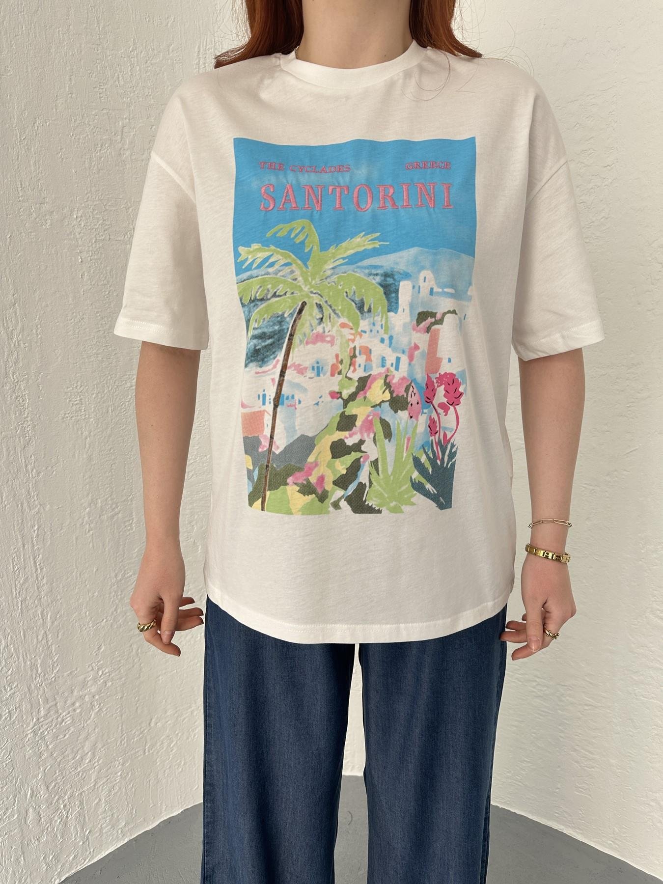 Baskılı Ve Nakışlı Tişört Ekru