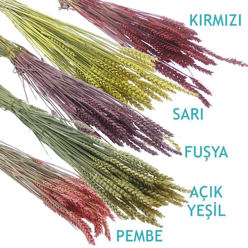 1 Bağ Kurutulmuş Doğal Renkli Buğday Başağı Tarwe