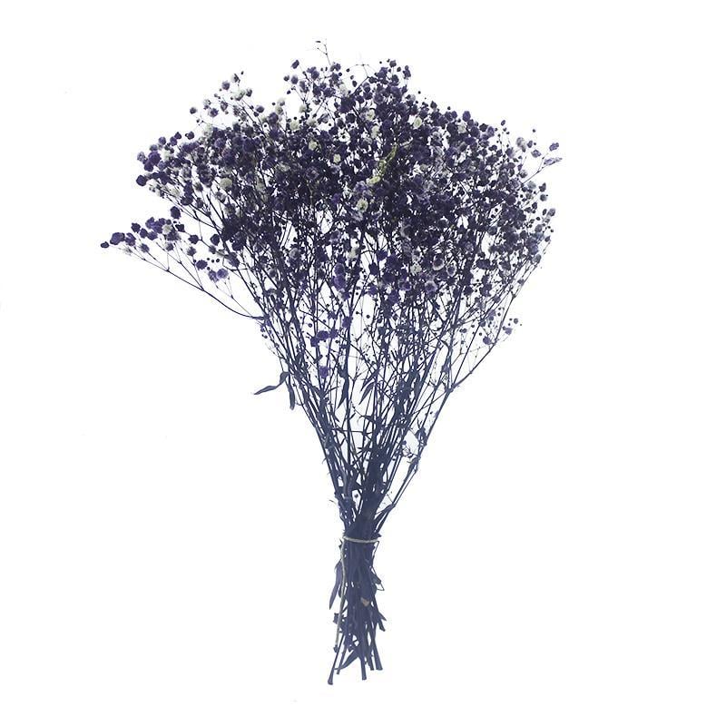 1 Bağ Şoklanmış Doğal Cipso Pıtırcık