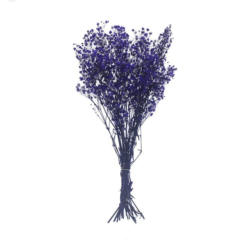 1 Bağ Şoklanmış Doğal Cipso Pıtırcık