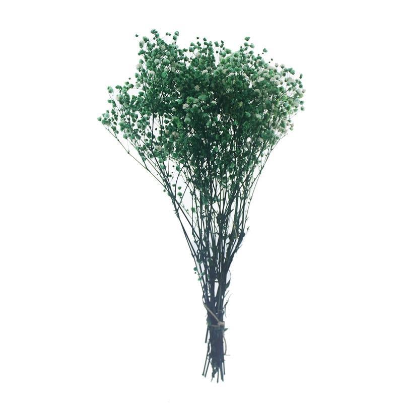 1 Bağ Şoklanmış Doğal Cipso Pıtırcık