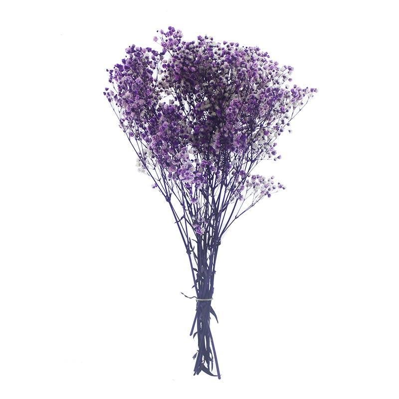 1 Bağ Şoklanmış Doğal Cipso Pıtırcık