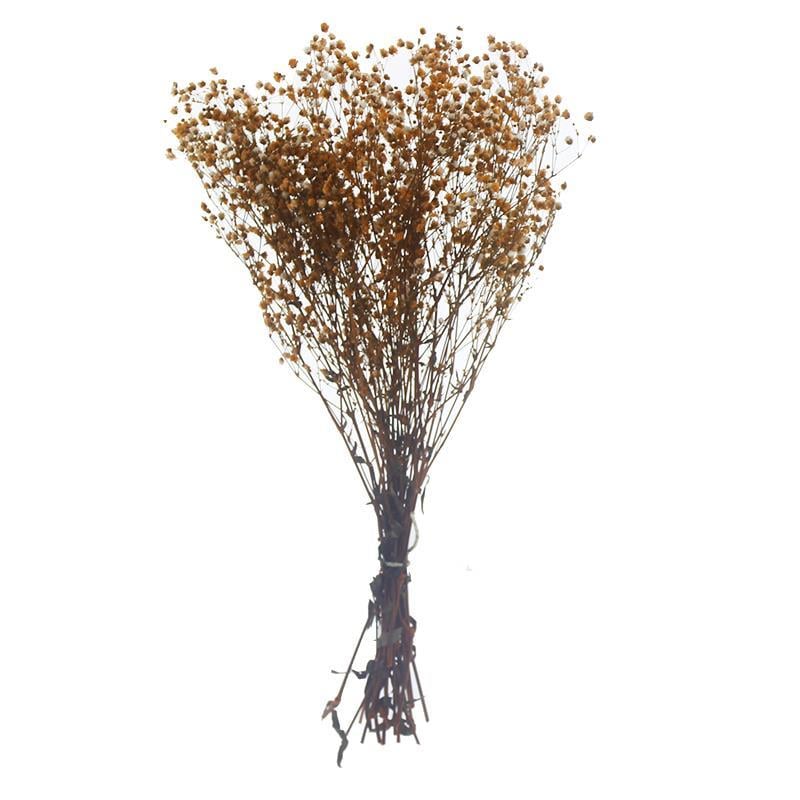 1 Bağ Şoklanmış Doğal Cipso Pıtırcık