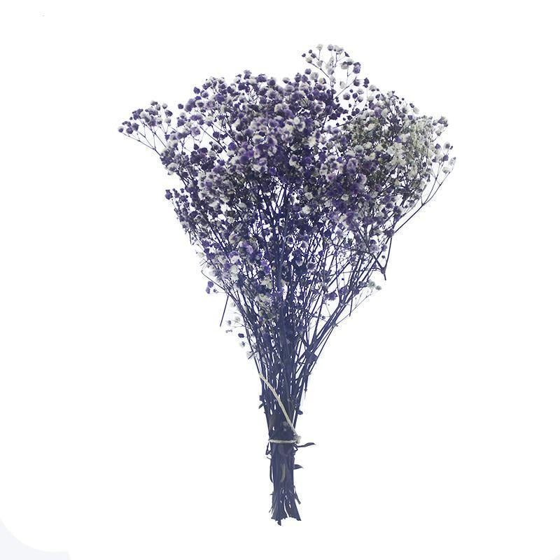 1 Bağ Şoklanmış Doğal Cipso Pıtırcık