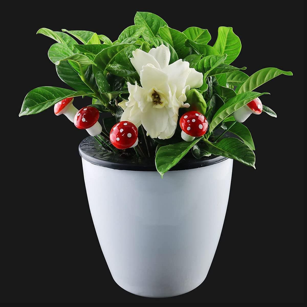 10 Adet 3cm Strafor Mantar Çubuklu