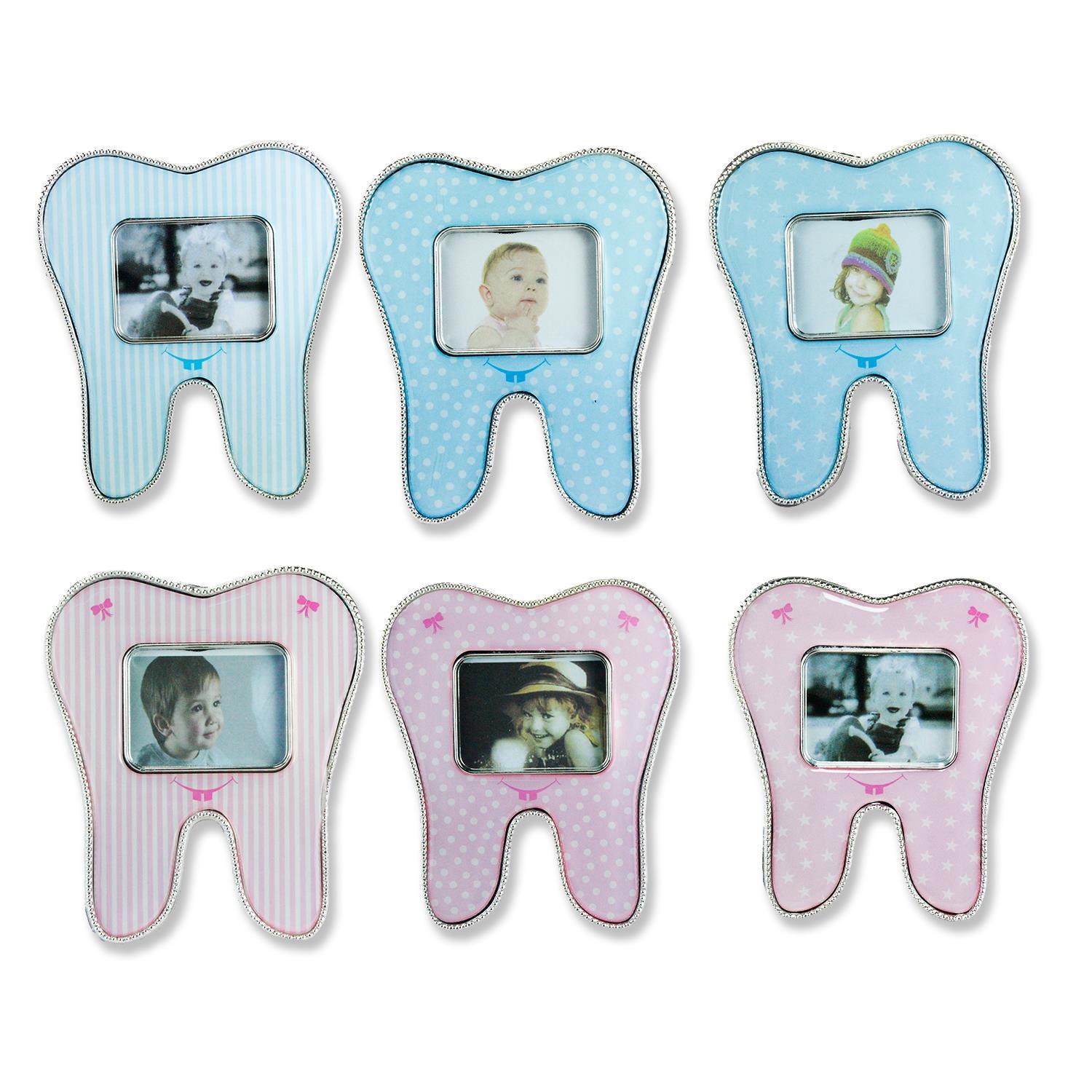 12 Adet Diş Çerçeve Karışık Model