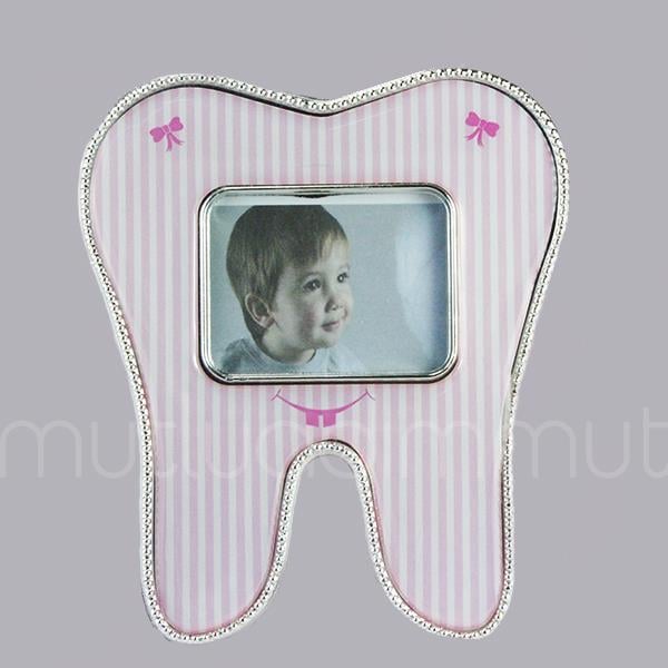 12 Adet Diş Çerçeve Karışık Model