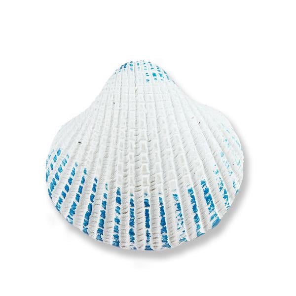 12 Adet İstiridye Biblo Midye