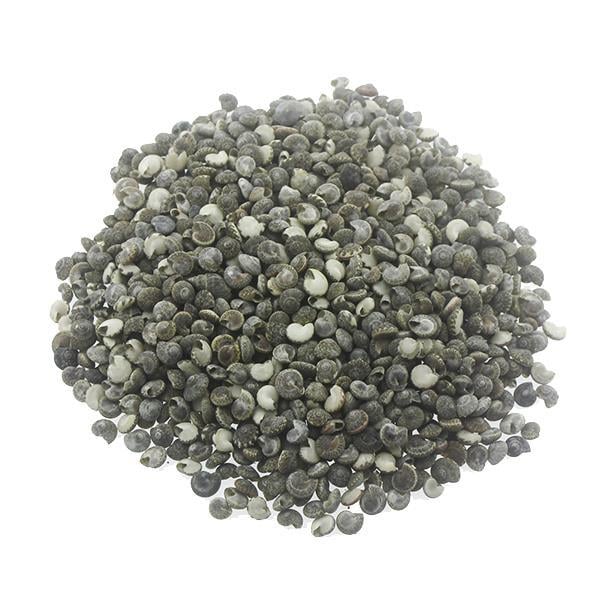 1kg Umbinium Doğal Deniz Kabuğu