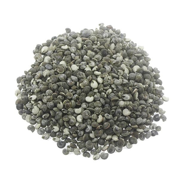 1kg Umbinium Doğal Deniz Kabuğu