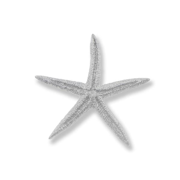 24 Adet Deniz Yıldızı Biblo