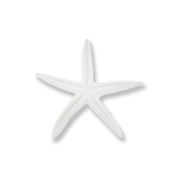 24 Adet Deniz Yıldızı Biblo