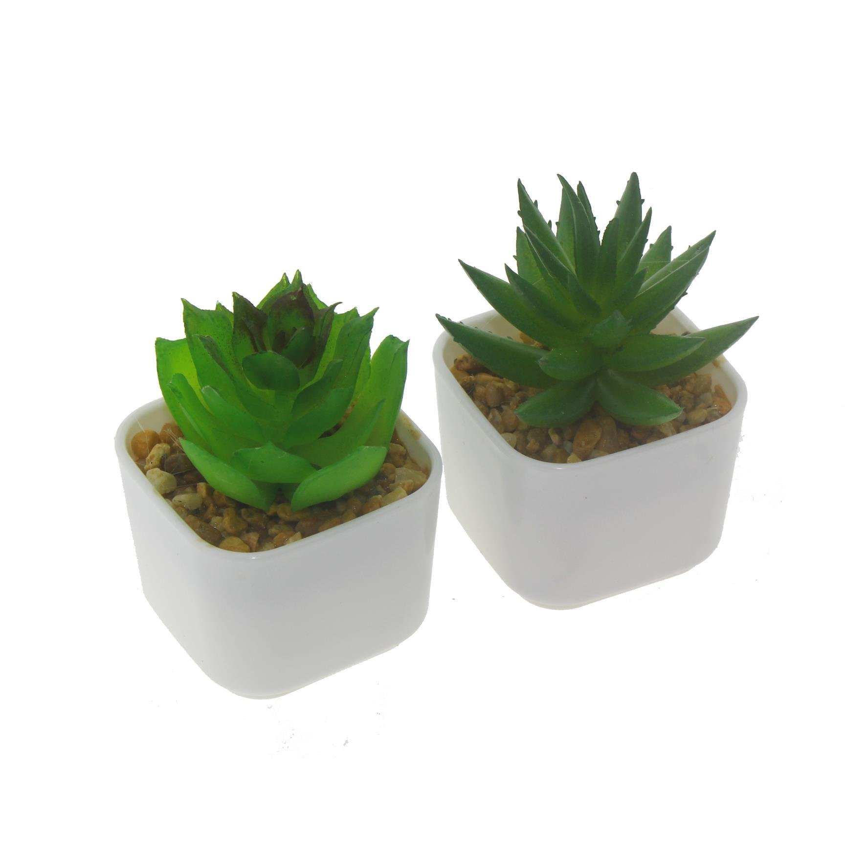 3 Adet 5x4cm Yapay Sukulent Çiçek Saksıda