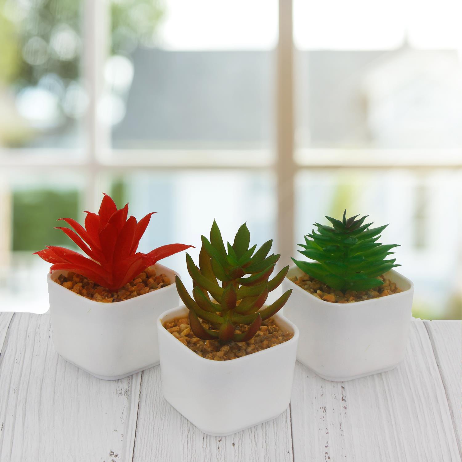 3 Adet 5x4cm Yapay Sukulent Çiçek Saksıda