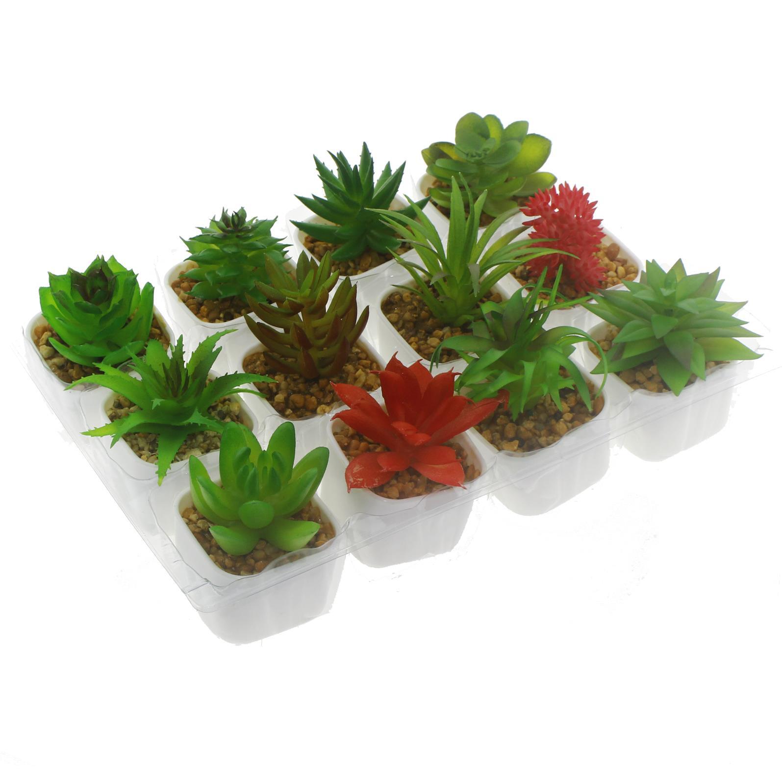 3 Adet 5x4cm Yapay Sukulent Çiçek Saksıda