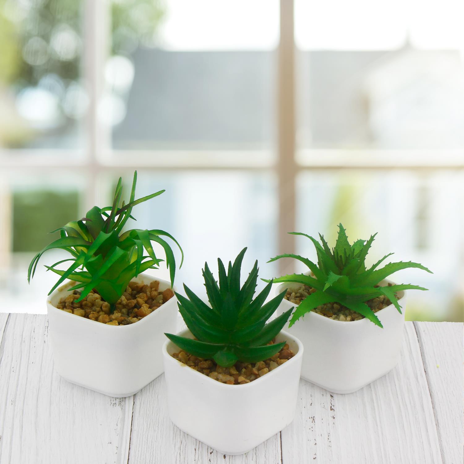 3 Adet 5x4cm Yapay Sukulent Çiçek Saksıda