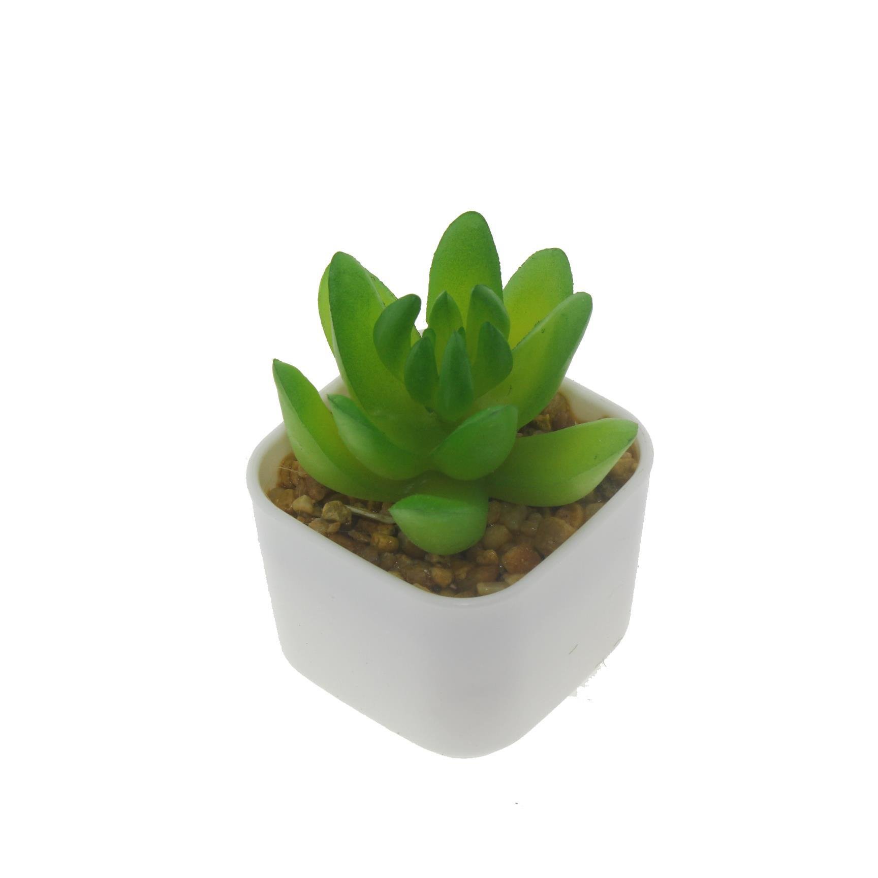 3 Adet 5x4cm Yapay Sukulent Çiçek Saksıda