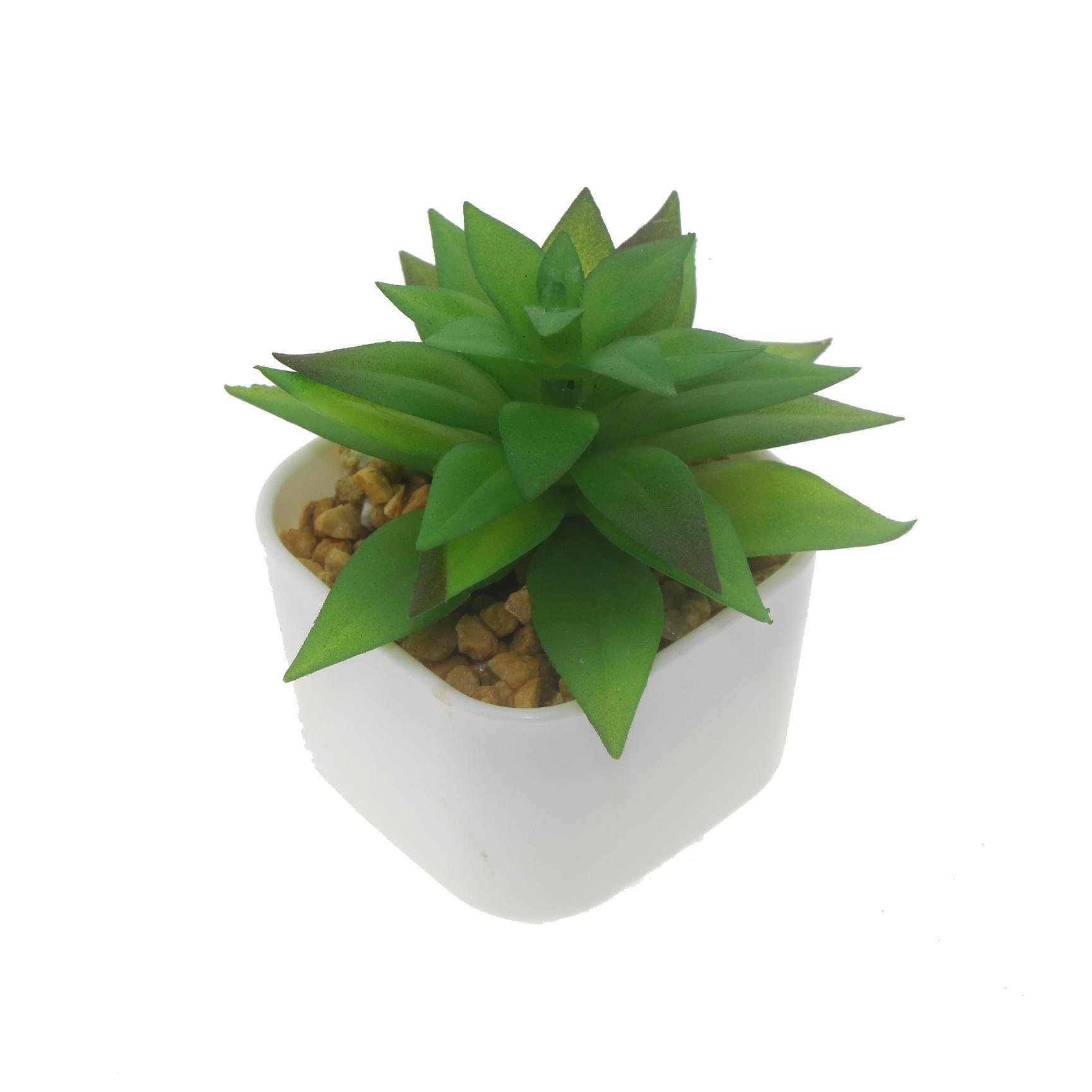 3 Adet 5x4cm Yapay Sukulent Çiçek Saksıda