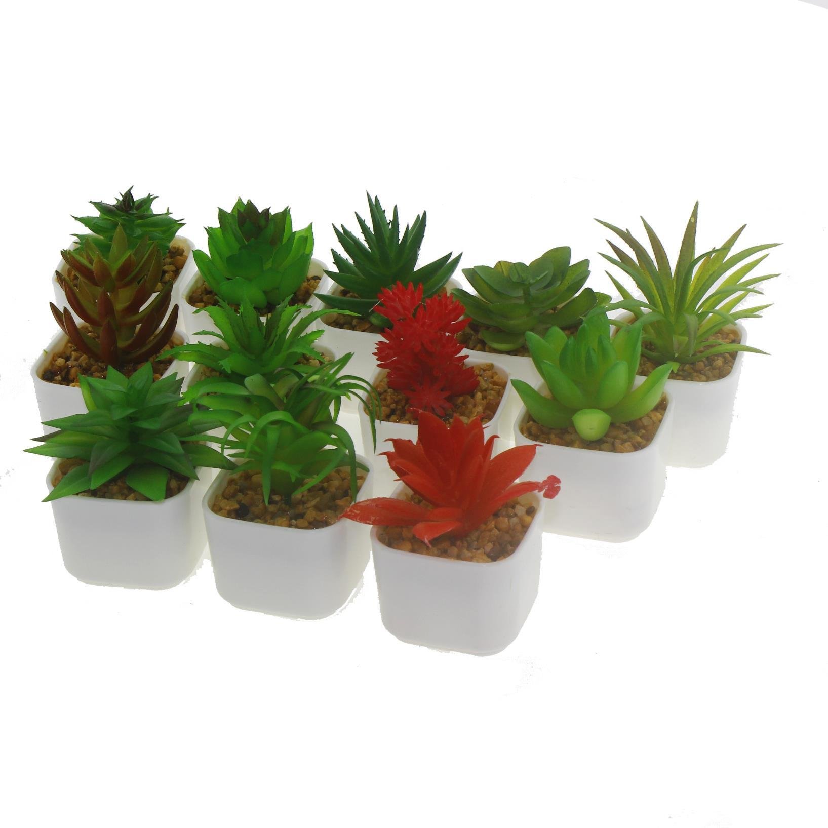 3 Adet 5x4cm Yapay Sukulent Çiçek Saksıda