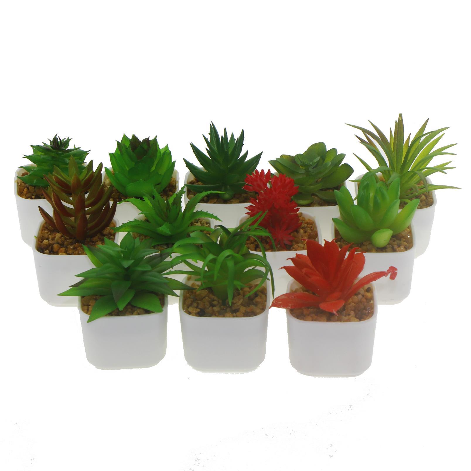 3 Adet 5x4cm Yapay Sukulent Çiçek Saksıda