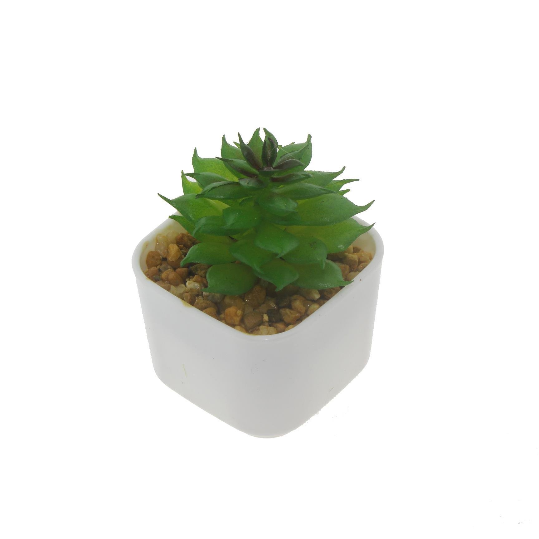 3 Adet 5x4cm Yapay Sukulent Çiçek Saksıda