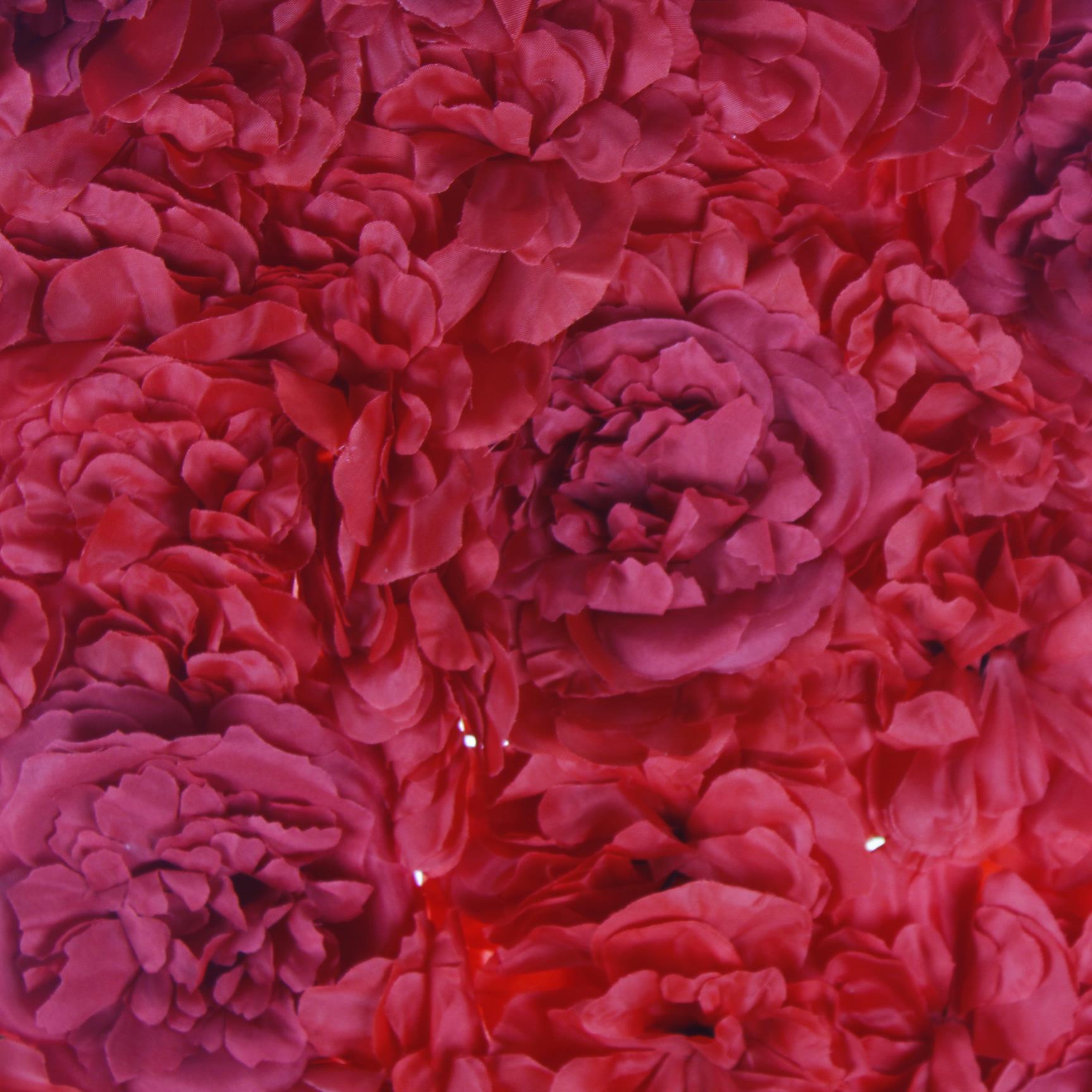 40x60cm Çiçek Panosu Panel (0,24m2) Şakayık Çiçekli