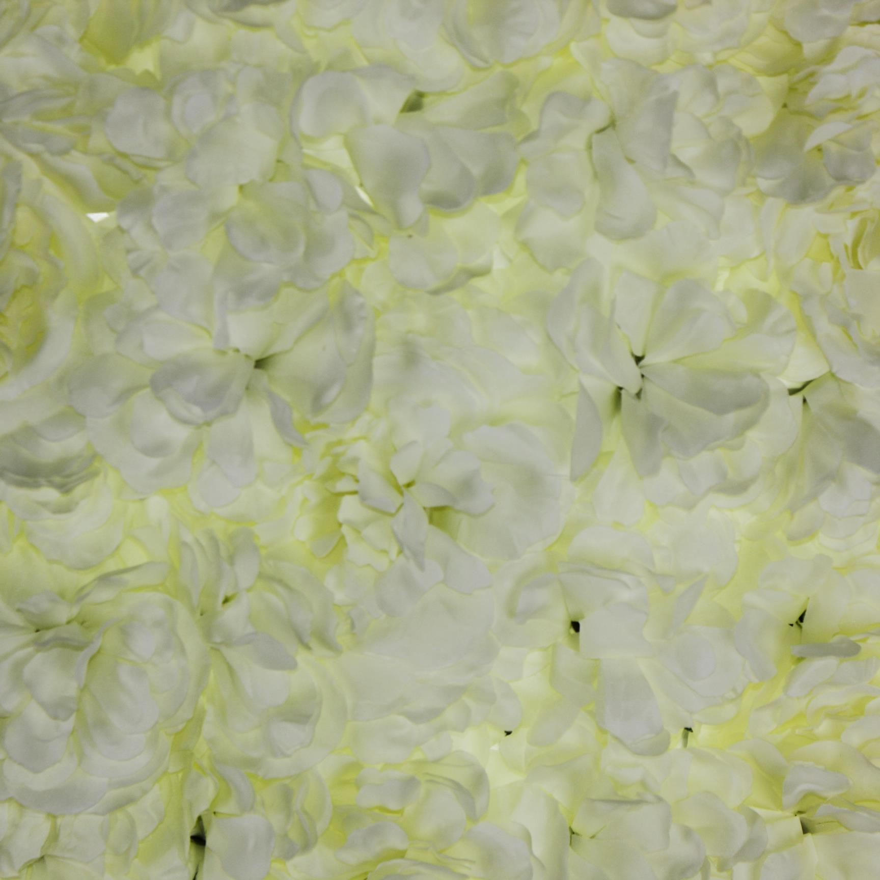 40x60cm Çiçek Panosu Panel (0,24m2) Şakayık Çiçekli