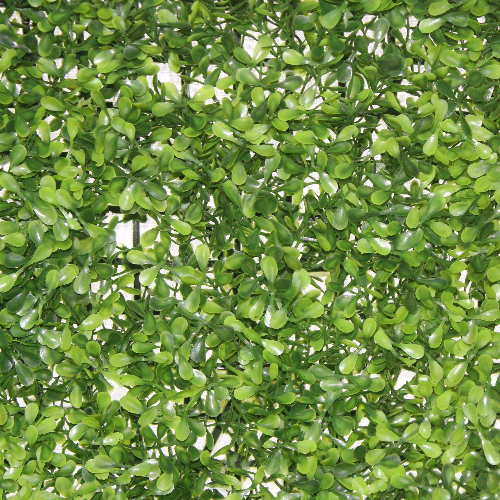 40x60cm Çiçek Panosu Panel (0,24m2) Şimşir Dallı