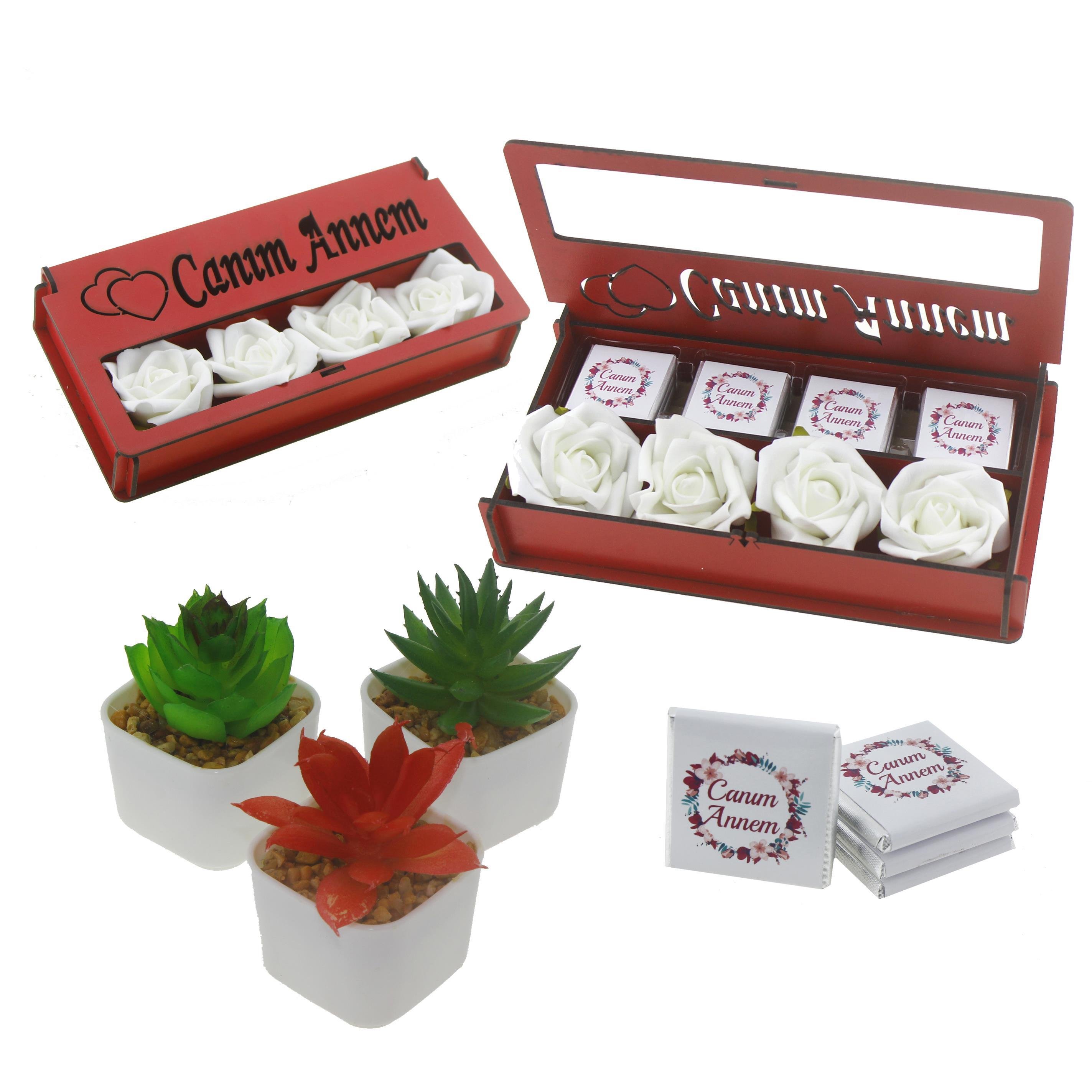 Ahşap Kutuda Canım Annem Çikolata ve 3 Adet Yapay Sukulent Seti