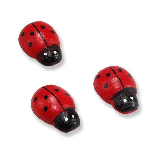 Uğur Böceği Orta 24 Adet