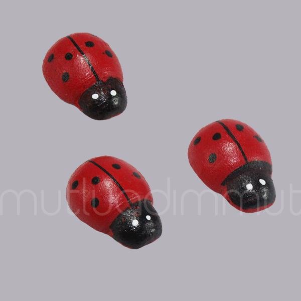 Uğur Böceği Orta 24 Adet