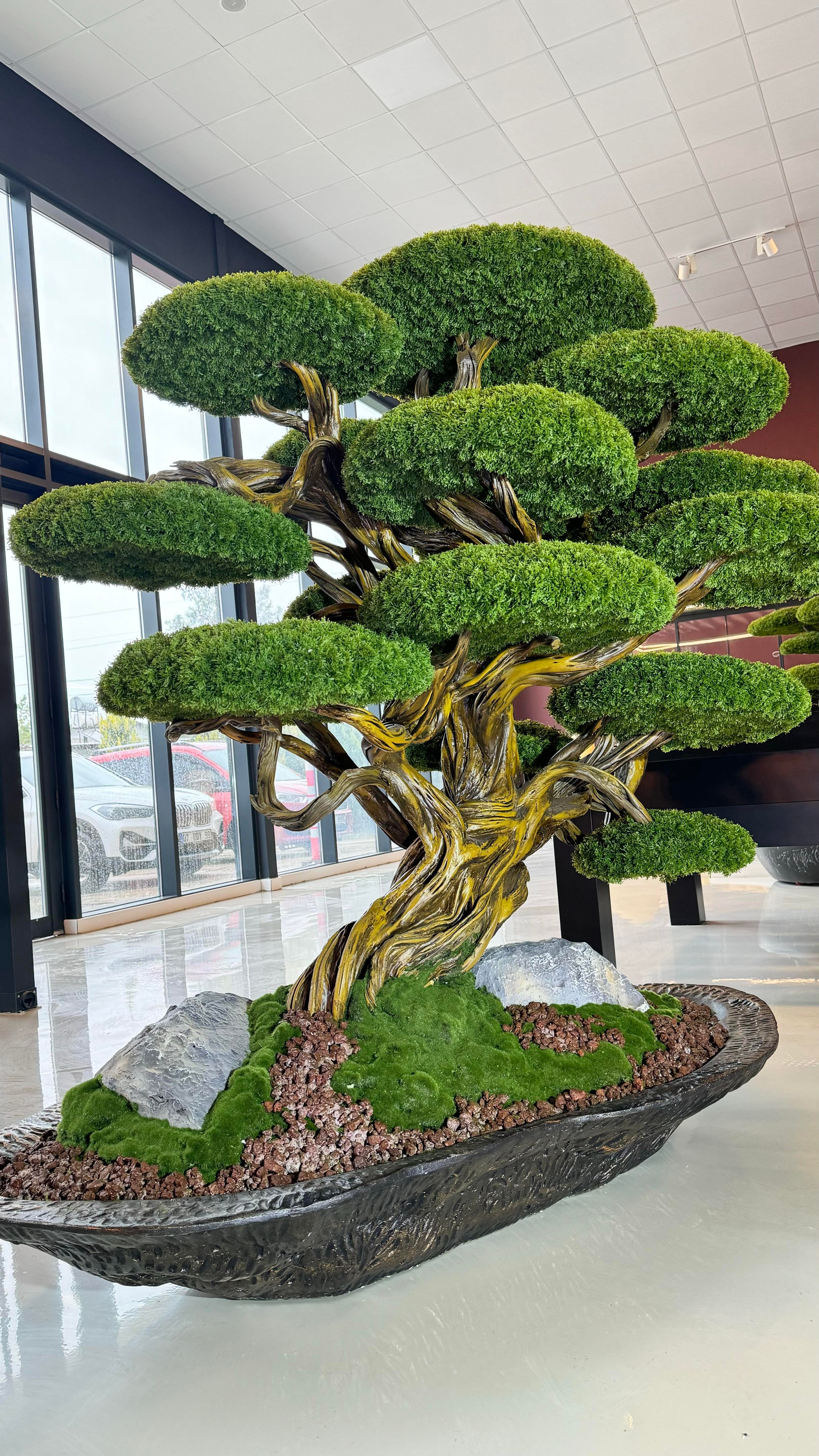 HIRO-SA BONSAI