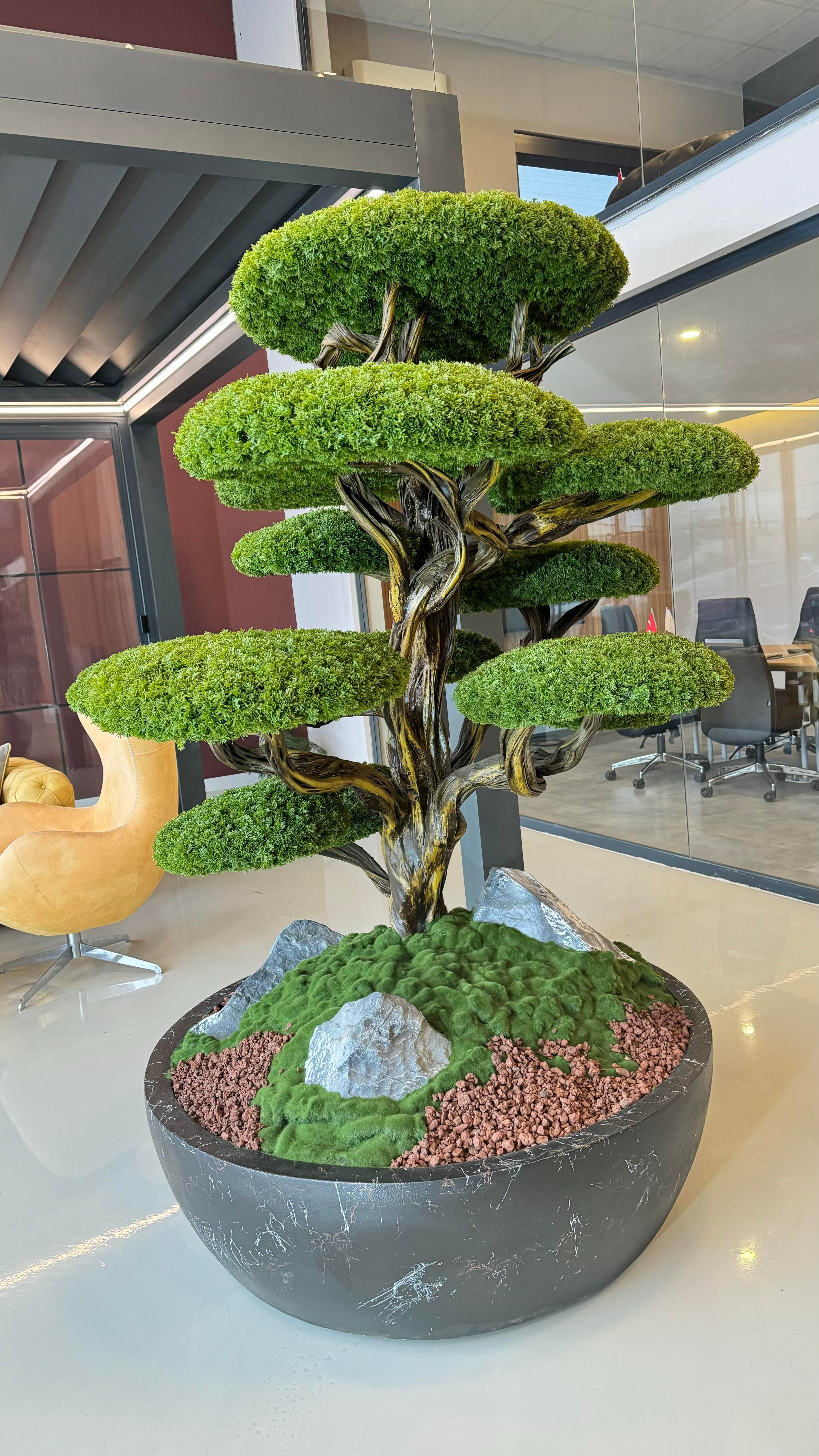 MIDORI BONSAI