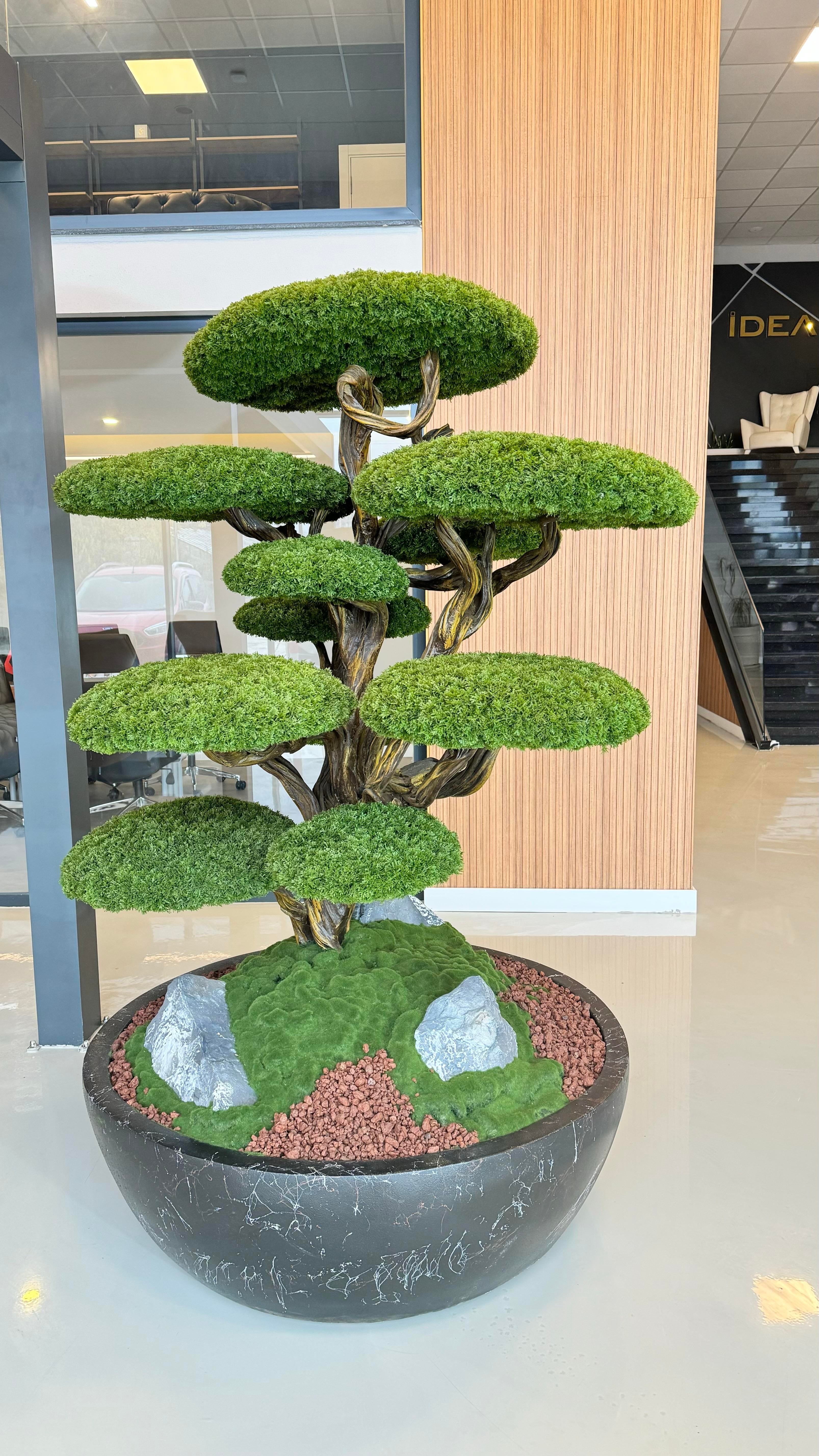 MIDORI BONSAI