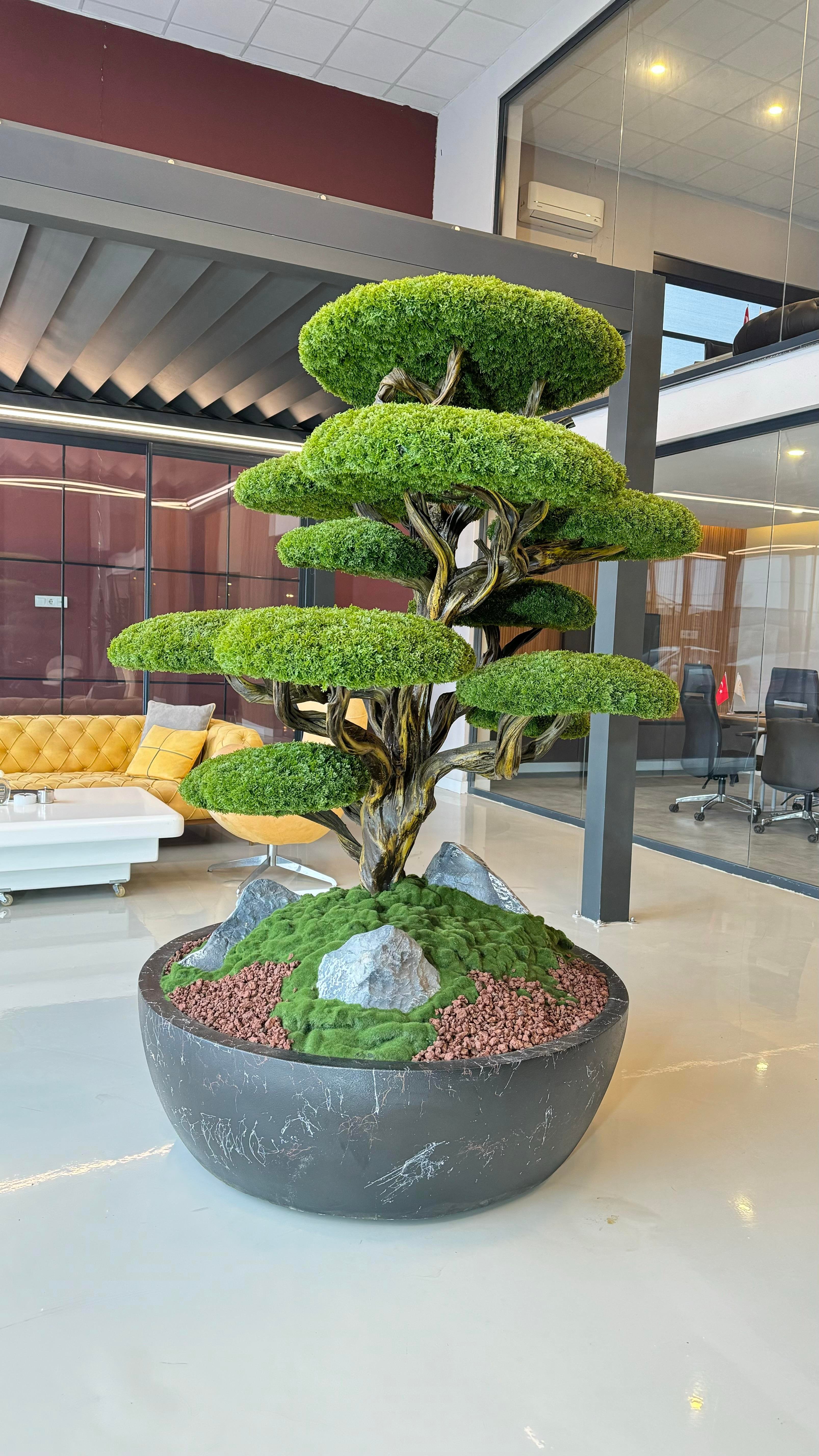 MIDORI BONSAI