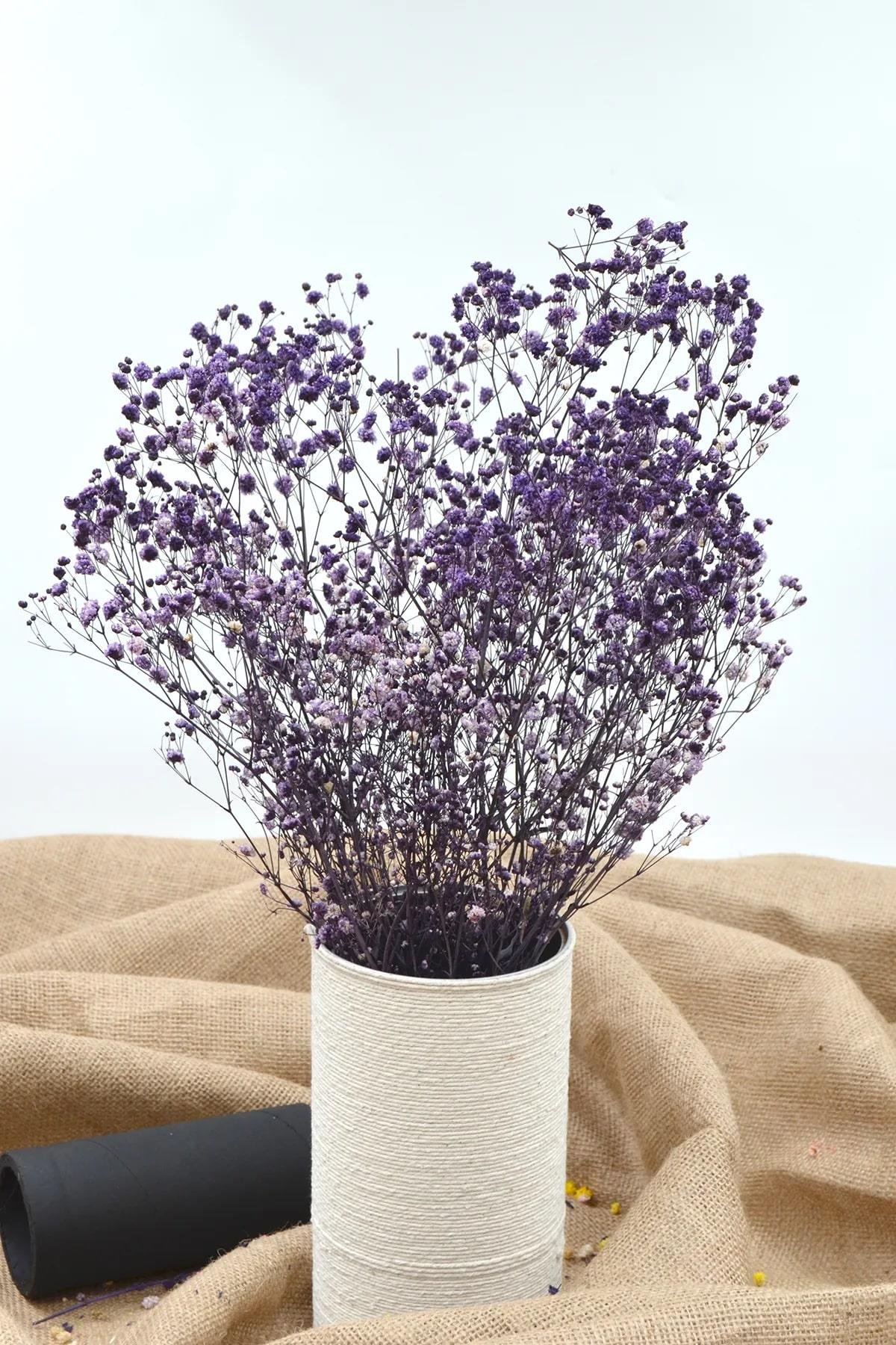 CİPSO 50 GR KURU ÇİÇEK