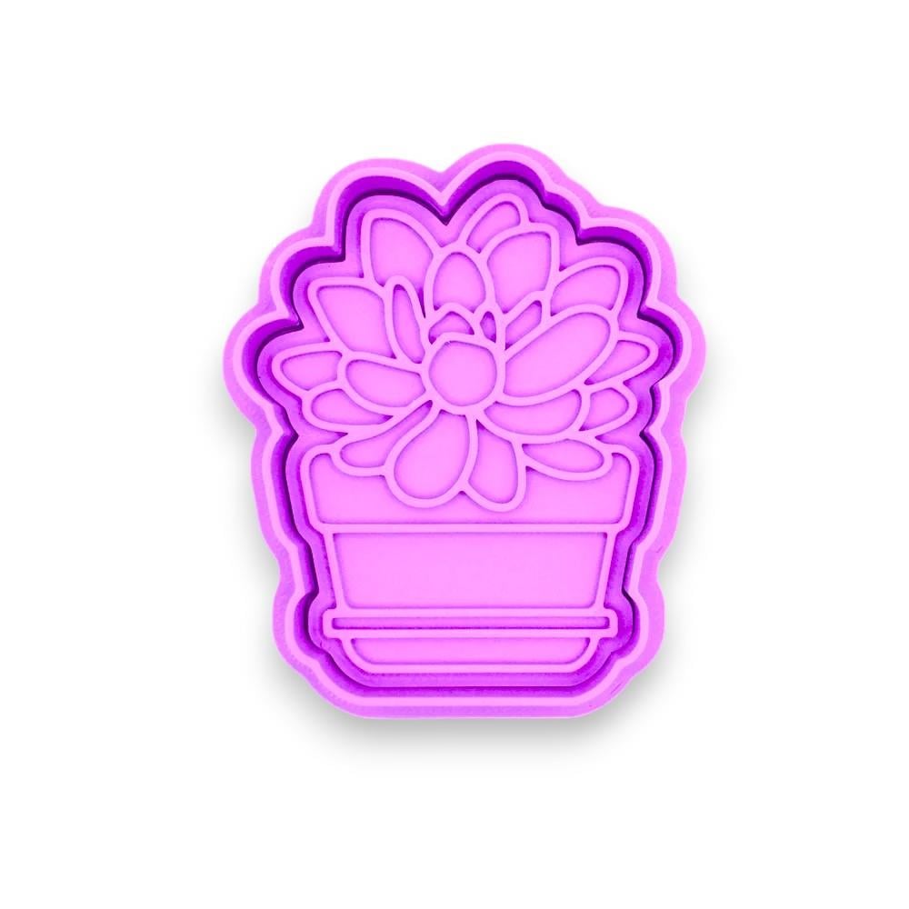 Bitki - Echeveria kurabiye kalıbı