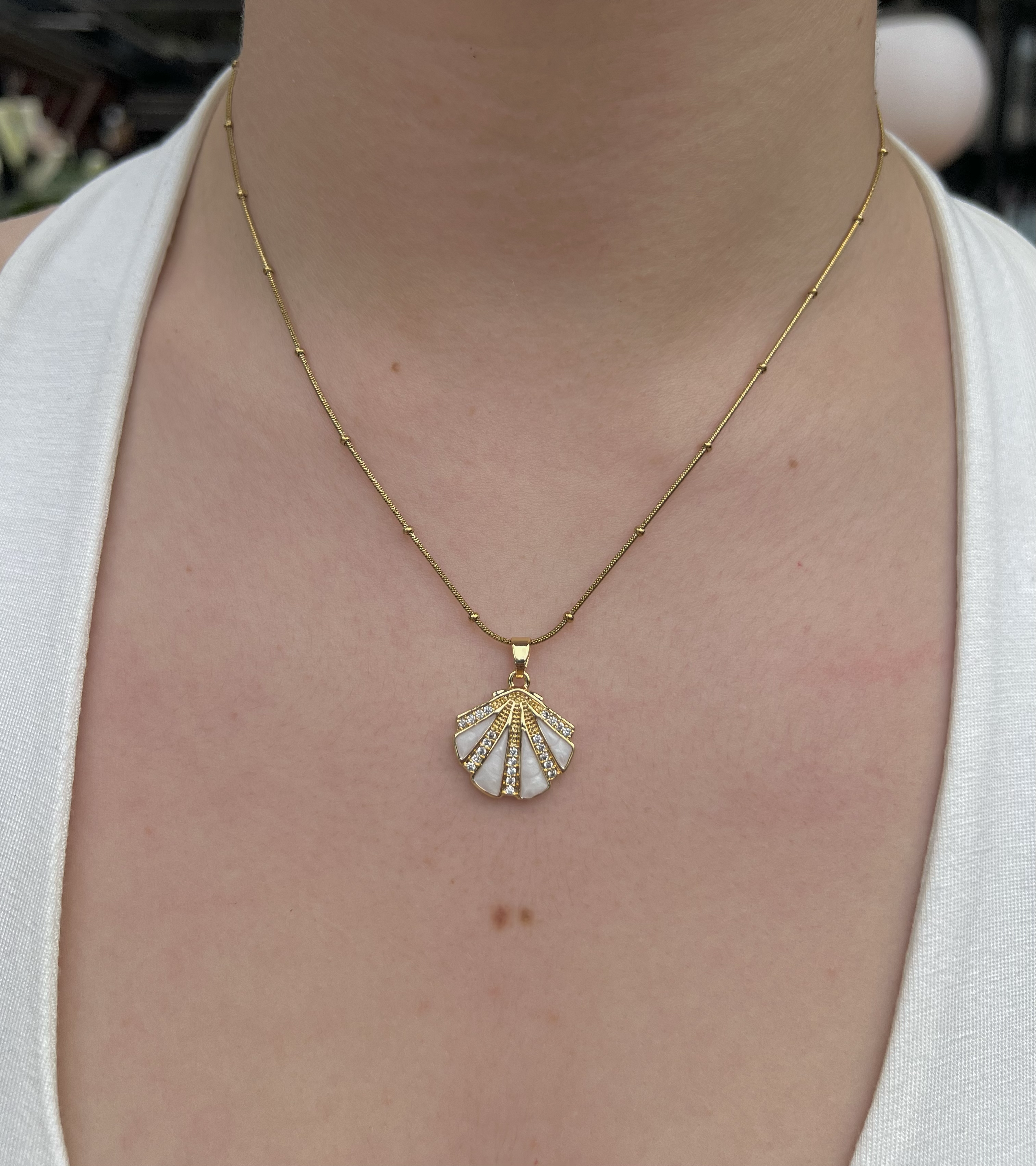 ÇELİK TAŞLI MİDYE KOLYE