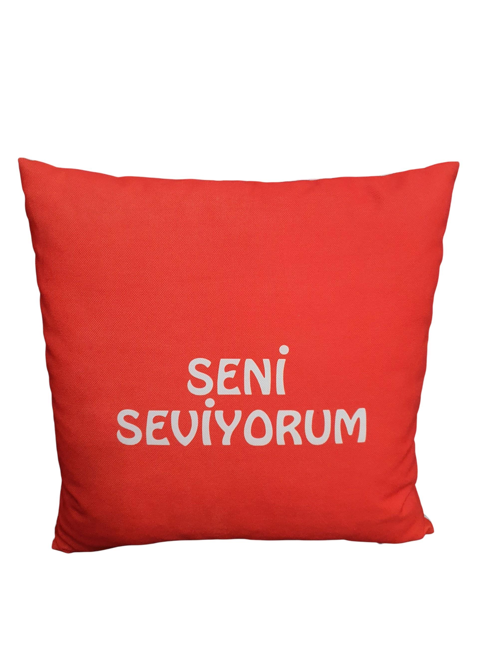 Seni Seviyorum Kırlenti