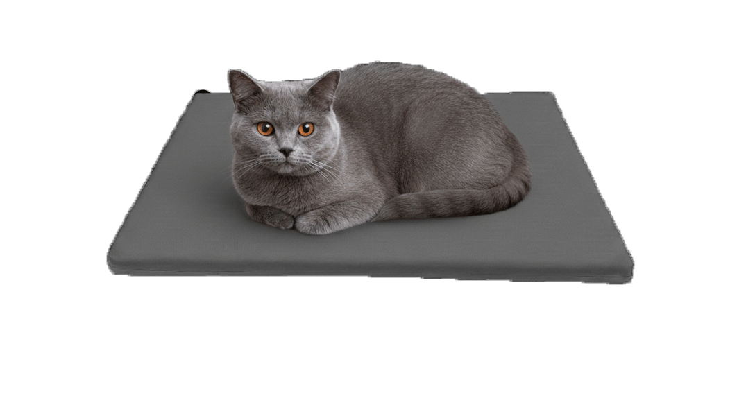 Şilte ( M Ebat 60x80 cm. )