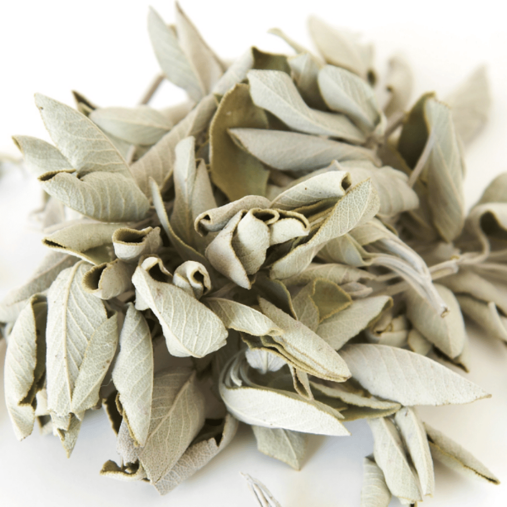 Adaçayı Sıyırma 30Gr