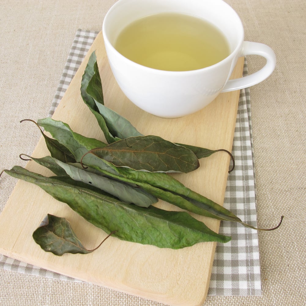 Avakado Yaprağı 30Gr