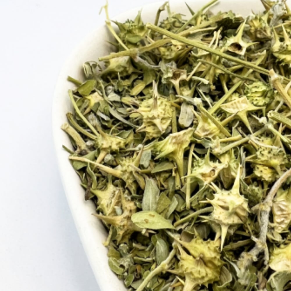 Çoban Çökerten (Demir Dikeni) 100Gr