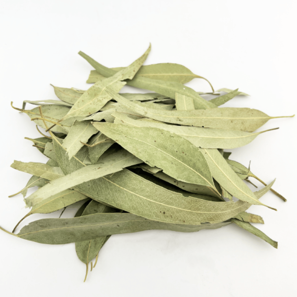Okaliptüs Yaprağı 40Gr