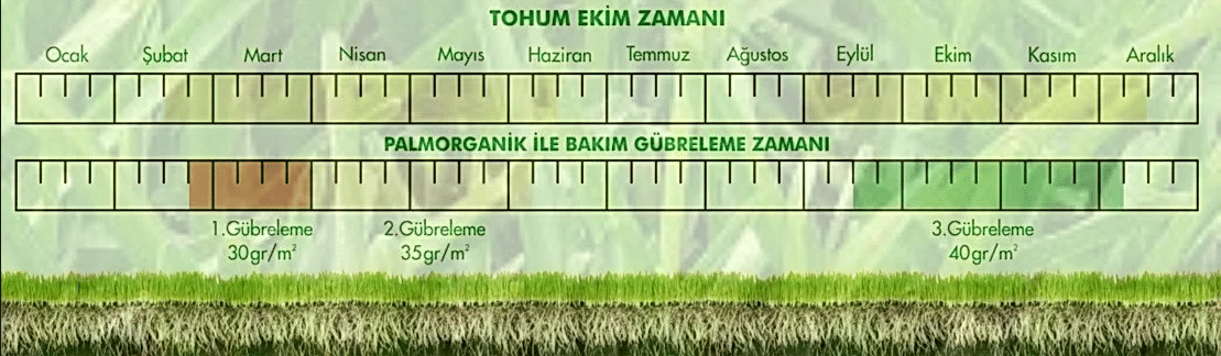 6lı Karışım Çim Tohumu