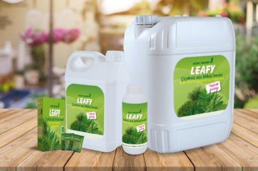 Agronom Leafy Çiçeksiz Süs Bitkileri Besini