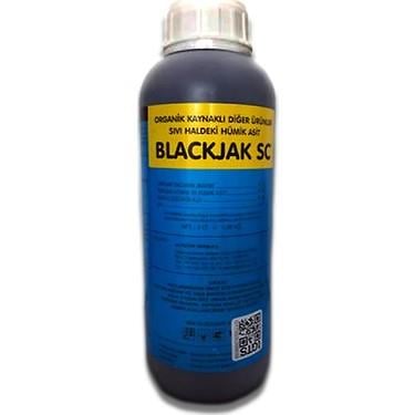 Blackjak