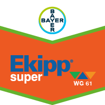 Ekipp Super WG 61 